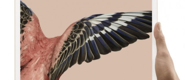 Официально: Google больше не будет выпускать планшеты под брендом Pixel