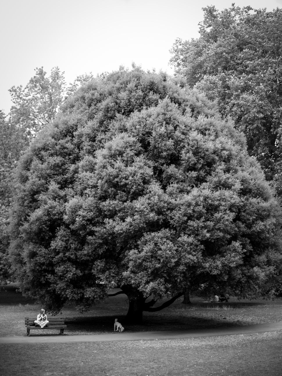 Обзор Hasselblad X2D II 100C: фотомонстр в свитере Armani картинка Hasselblad X2D II 100C