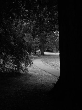 Обзор Hasselblad X2D II 100C: фотомонстр в свитере Armani фото