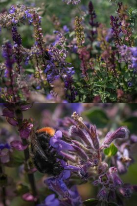 Обзор Hasselblad XCD 35-100E: самый быстрый и лучший зум фото