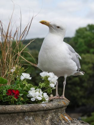 Обзор Hasselblad XCD 35-100E: самый быстрый и лучший зум фото