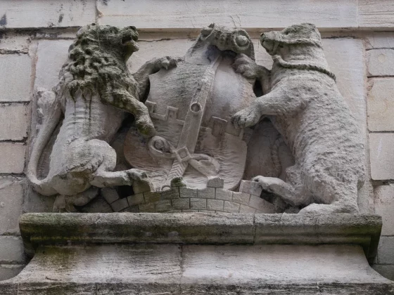 Обзор Hasselblad XCD 35-100E: самый быстрый и лучший зум фото