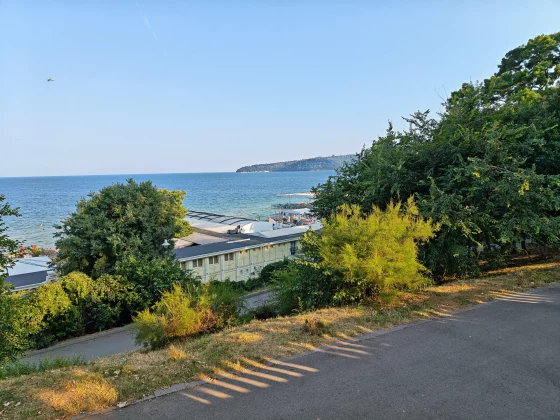 Обзор Honor Magic V5: тонкий и стильный! фото