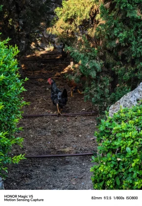 Обзор Honor Magic V5: беги, Samsung, беги фото