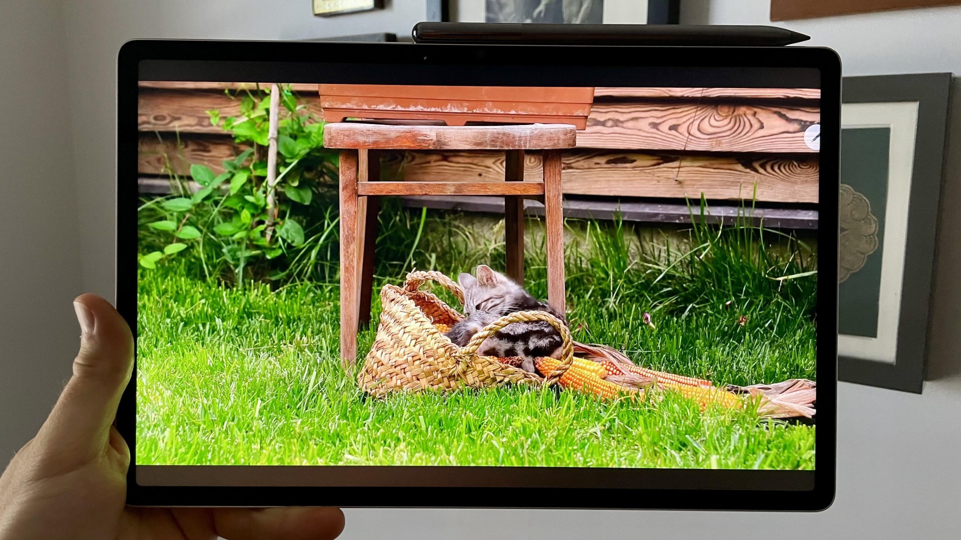 Lenovo Tab P12: почему этот планшет среднего класса превзошёл конкурентов? фото