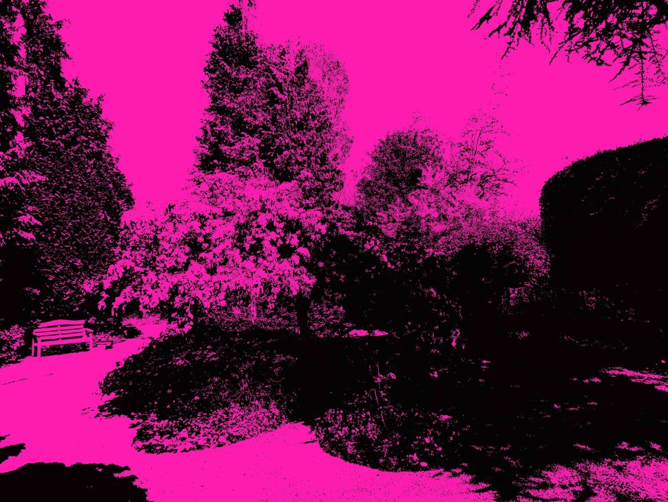 Kodak PIXPRO AZ528 обзор на топовую компактную камеру