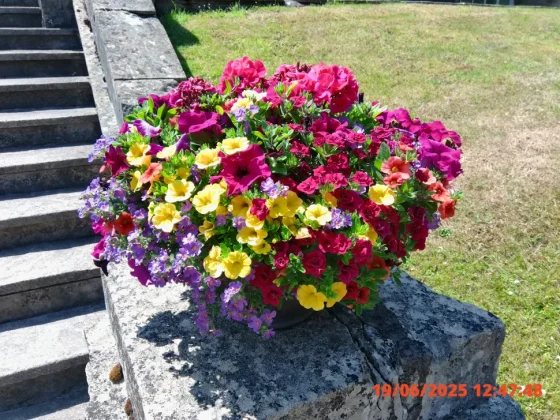 Обзор Kodak Pixpro C1: ретро-компакт или дешевая «мыльница»? фото