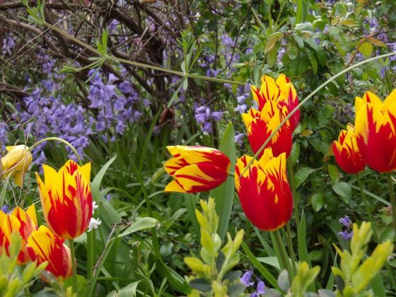 Обзор Kodak Pixpro WPZ2: неубиваемый компактный фотоаппарат по привлекательной цене фото