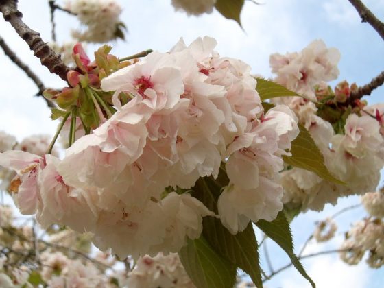 Обзор Kodak Pixpro WPZ2: неубиваемый компактный фотоаппарат по привлекательной цене фото