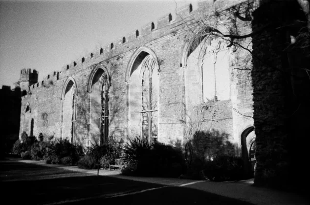 Обзор Kodak Tri-X 400: профессиональная одноразовая камера? фото