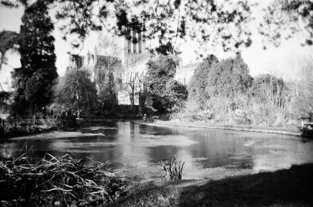 Обзор Kodak Tri-X 400: профессиональная одноразовая камера? фото