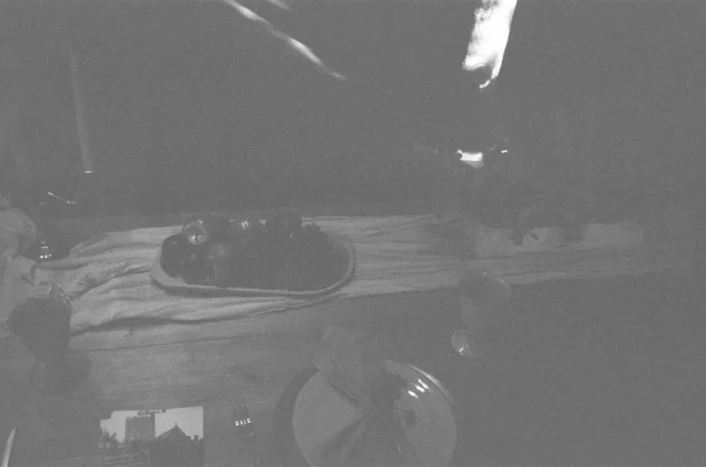 Обзор Kodak Tri-X 400: профессиональная одноразовая камера? фото