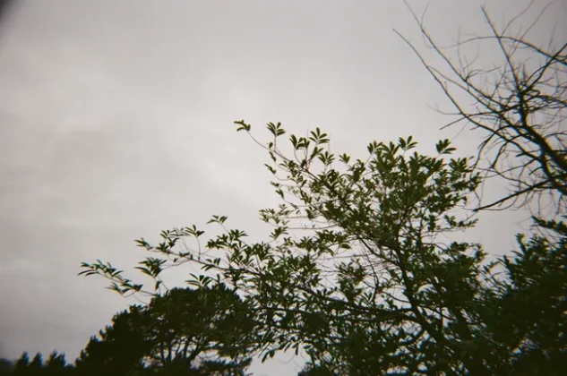 Обзор Kodak Ultra F9: пять причин влюбиться в этот яркий кусок пластика фото