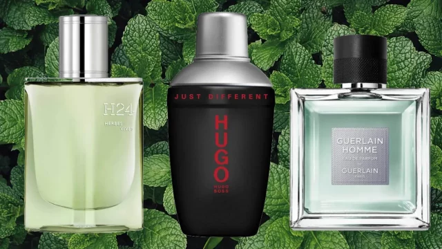 Лучшие мятные ароматы для мужчин в 2025 году