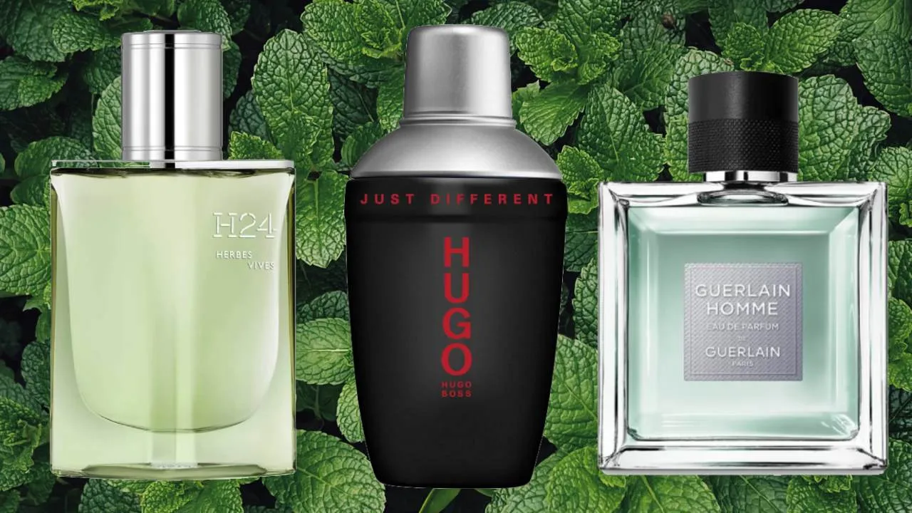 429620Лучшие мятные ароматы для мужчин в 2025 году