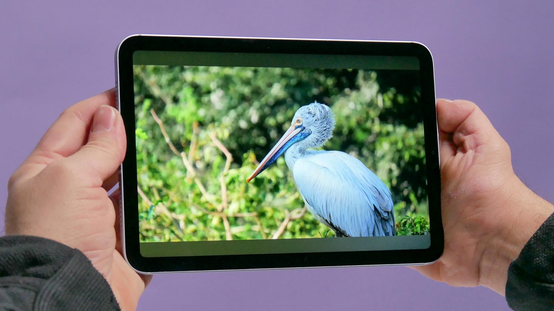 Обновление мечты: какие изменения ждут нас в iPad mini 8 картинка Обновление мечты: какие изменения ждут нас в iPad mini 8 фото