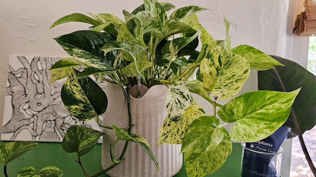 Очиститель воздуха