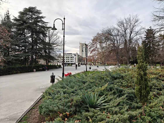 Обзор OnePlus 13: отличный телефон, сомнительная камера фото