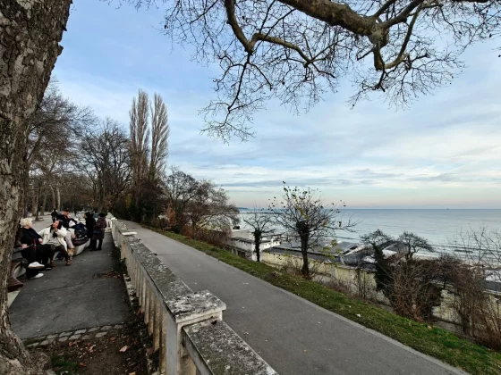 Обзор OnePlus 13: отличный телефон, сомнительная камера фото