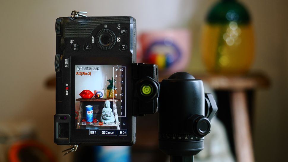 Противостояние камер Sony RX1R III, Leica Q3 и Leica Q3 43