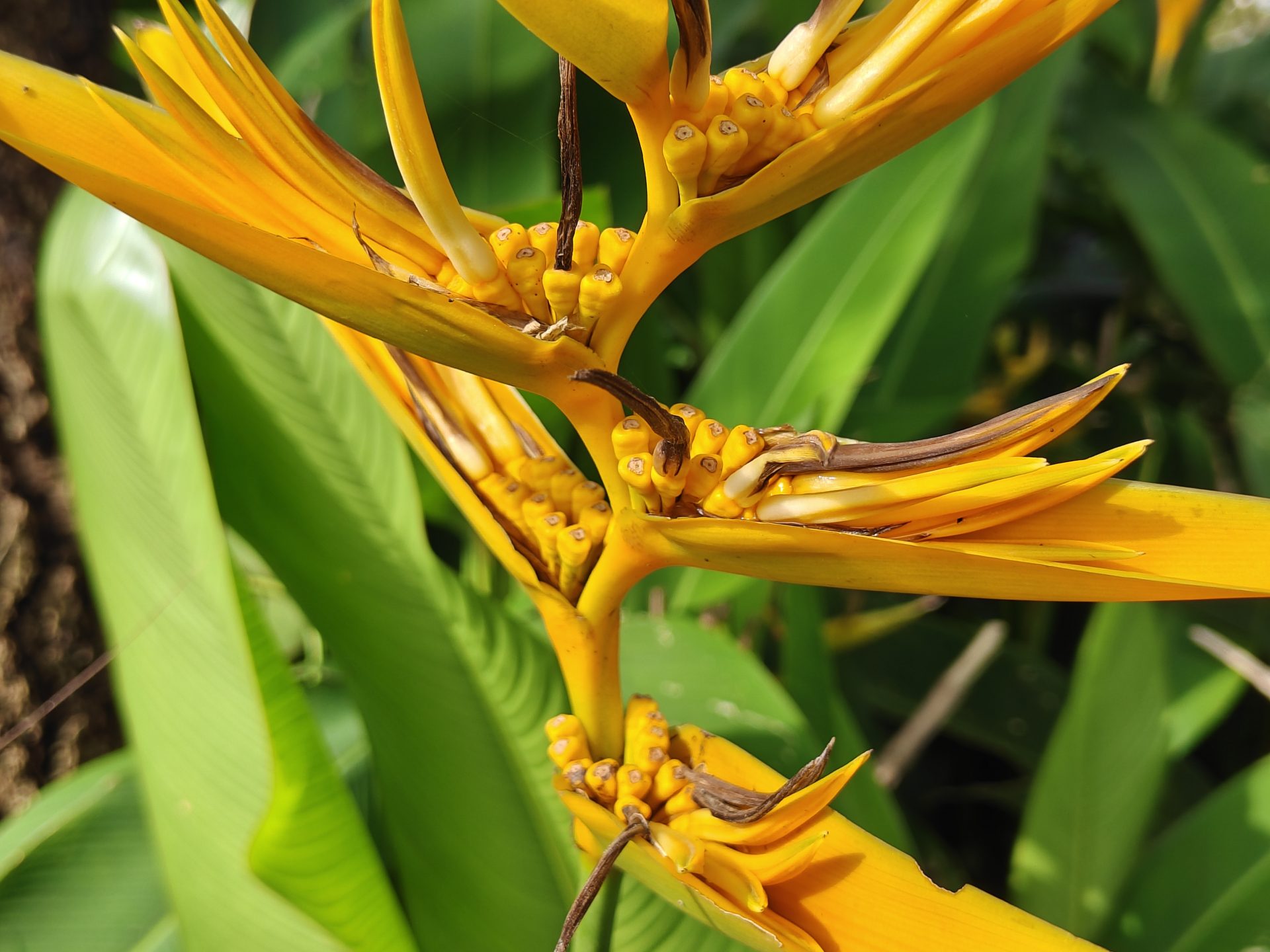 Обзор Realme P4 Pro: я пробовал придраться к нему, но не смог картинка Realme P4 Pro