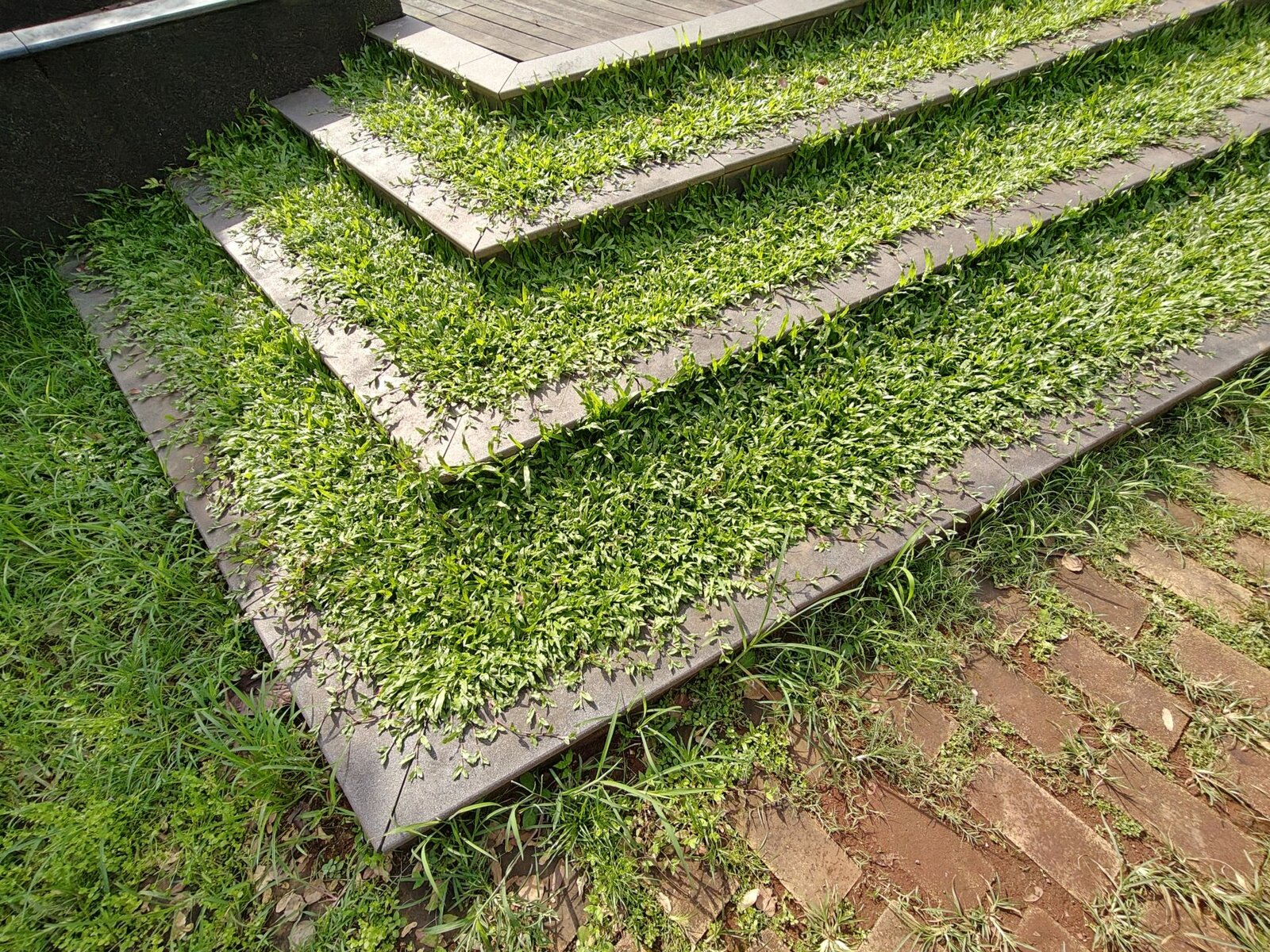 Обзор Realme P4 Pro: я пробовал придраться к нему, но не смог картинка Realme P4 Pro