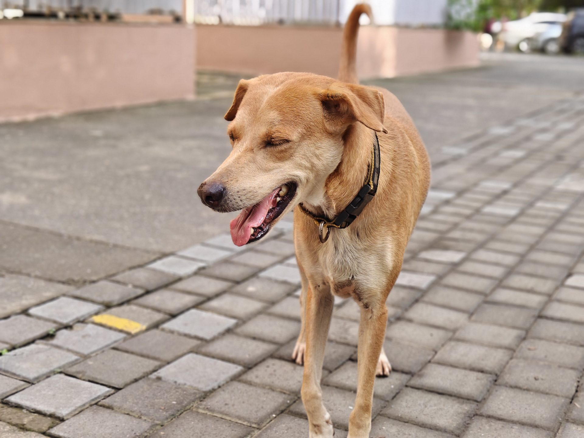 Обзор Realme P4 Pro: я пробовал придраться к нему, но не смог картинка Realme P4 Pro