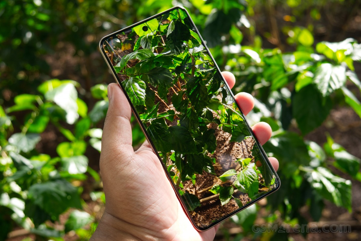 Обзор Realme P4 Pro: я пробовал придраться к нему, но не смог картинка Realme P4 Pro