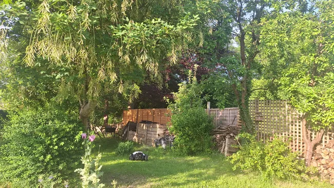 Робот-газонокосилка Mammotion Yuka Mini 100