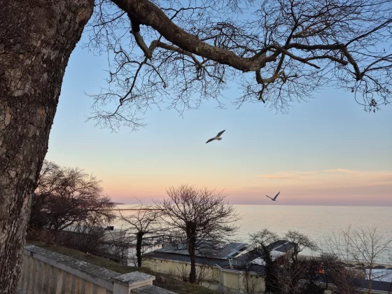 Samsung Galaxy S24 Plus