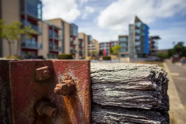 Обзор LK Samyang AF 12 мм f/2 RF-S: теперь доступен с байонетом Canon RF-S фото