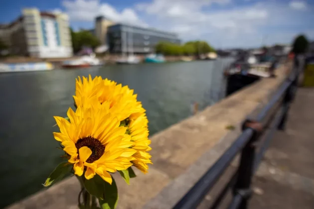 Обзор LK Samyang AF 12 мм f/2 RF-S: теперь доступен с байонетом Canon RF-S фото