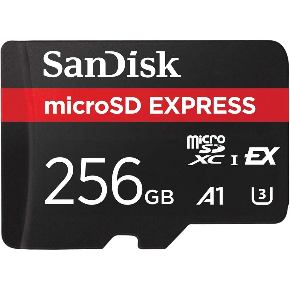 SanDisk 256GB Express Card