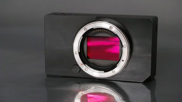 Sigma, Sigma BF! Sigma BF! Sigma BF!