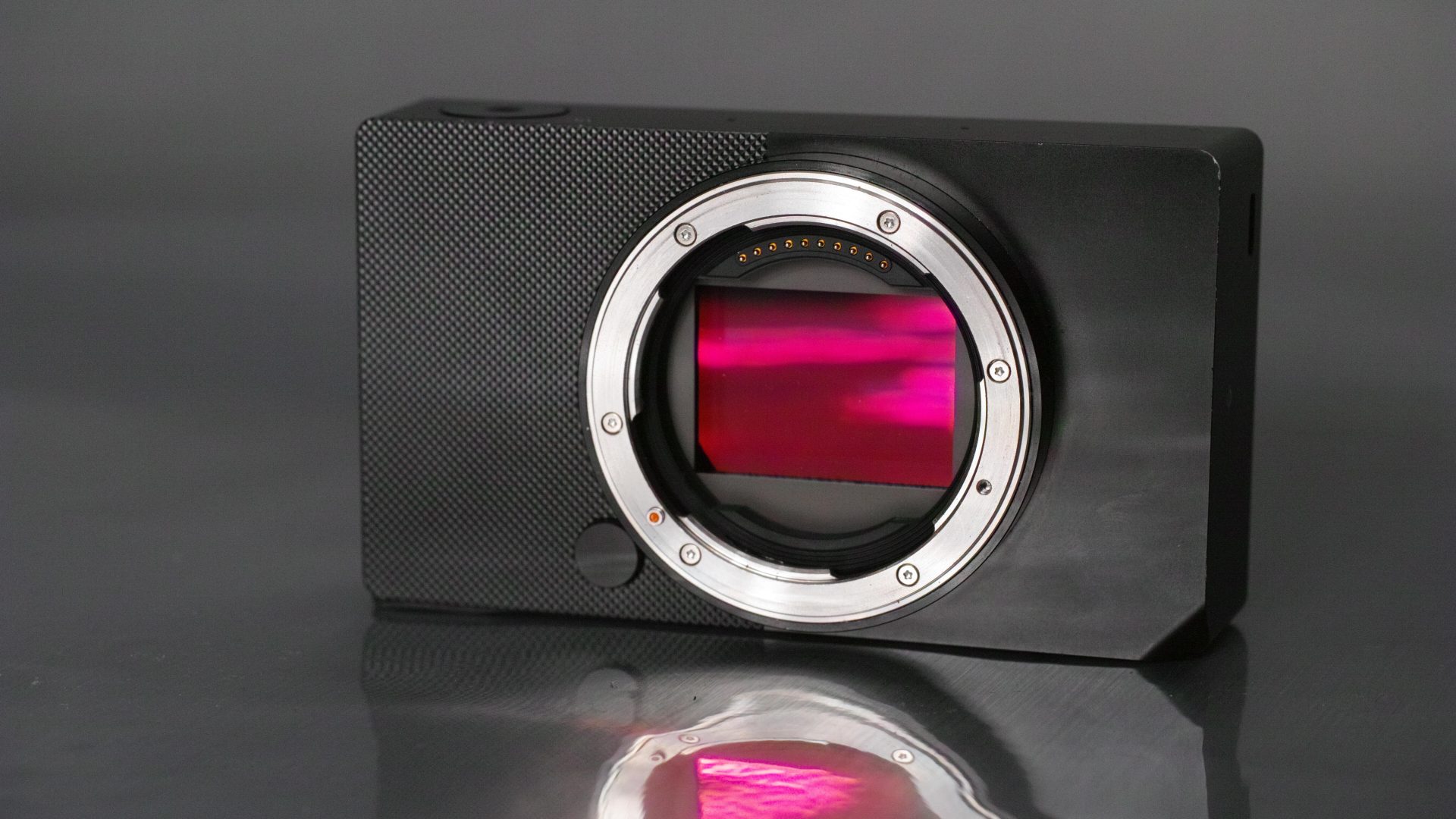 Sigma, Sigma BF! Sigma BF! Sigma BF!