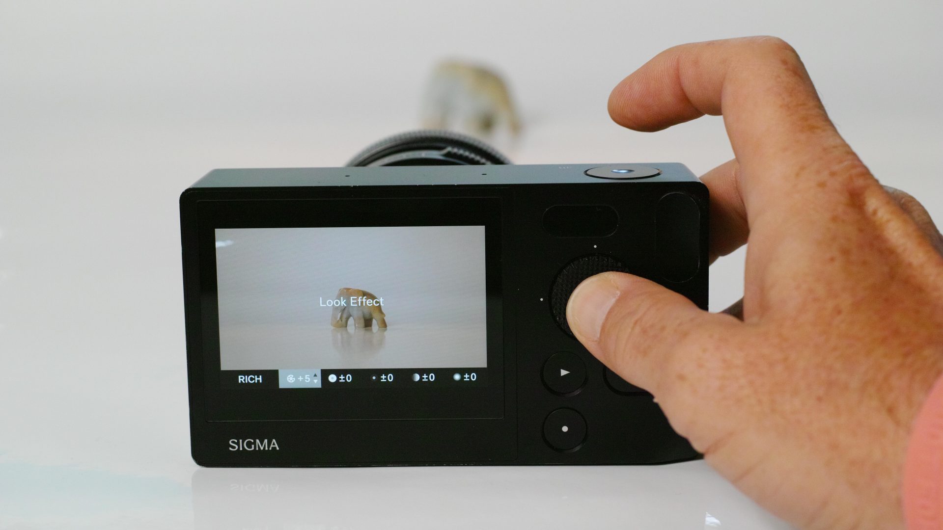 Sigma, Sigma BF! Sigma BF! Sigma BF!