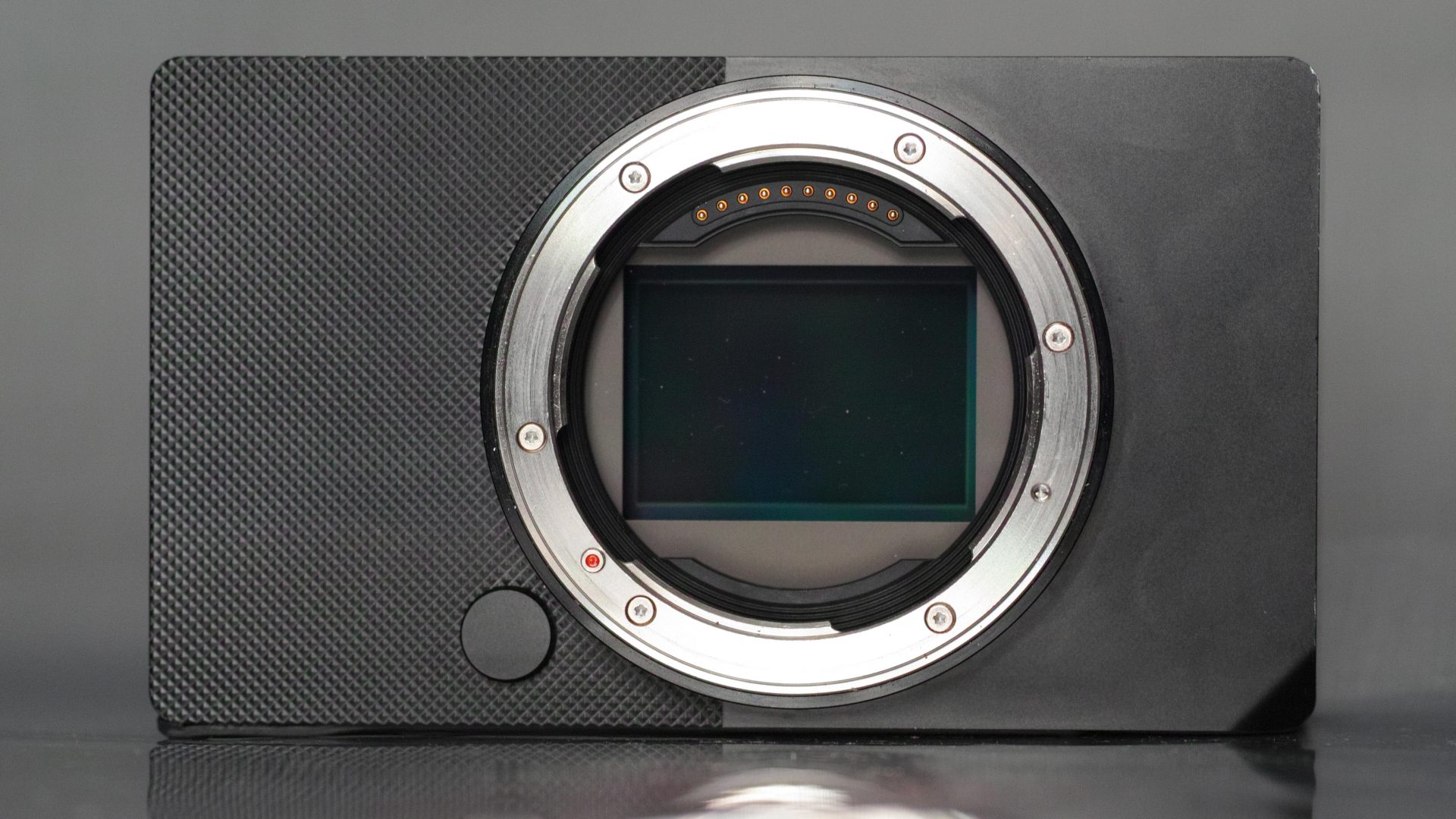 Sigma, Sigma BF! Sigma BF! Sigma BF!