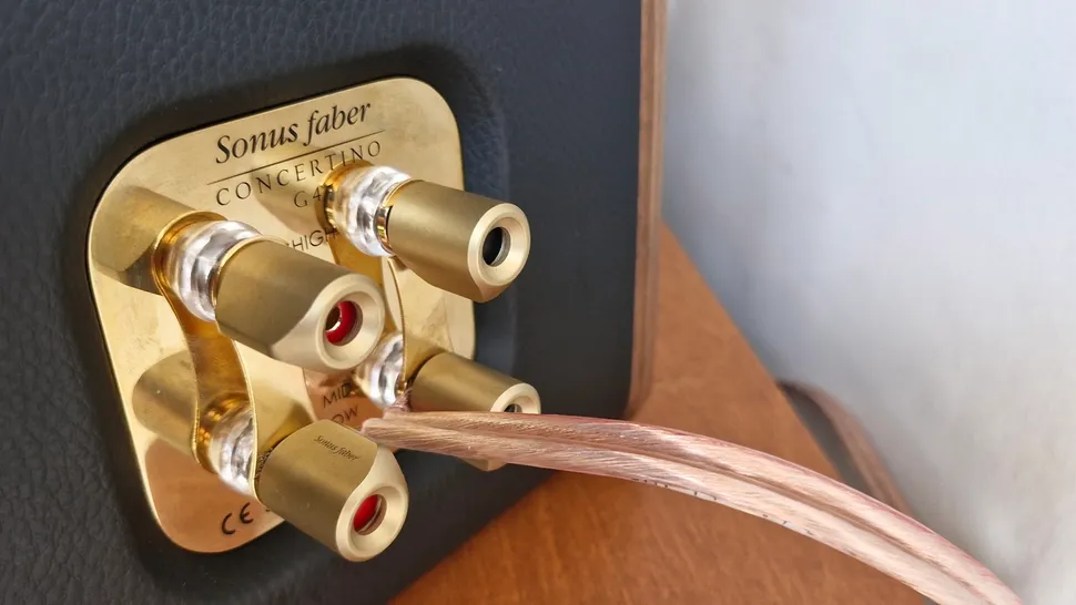 Обзор Sonus Faber Concertino G4: дракон, за которым стоит гоняться картинка Sonus Faber Concertino G4