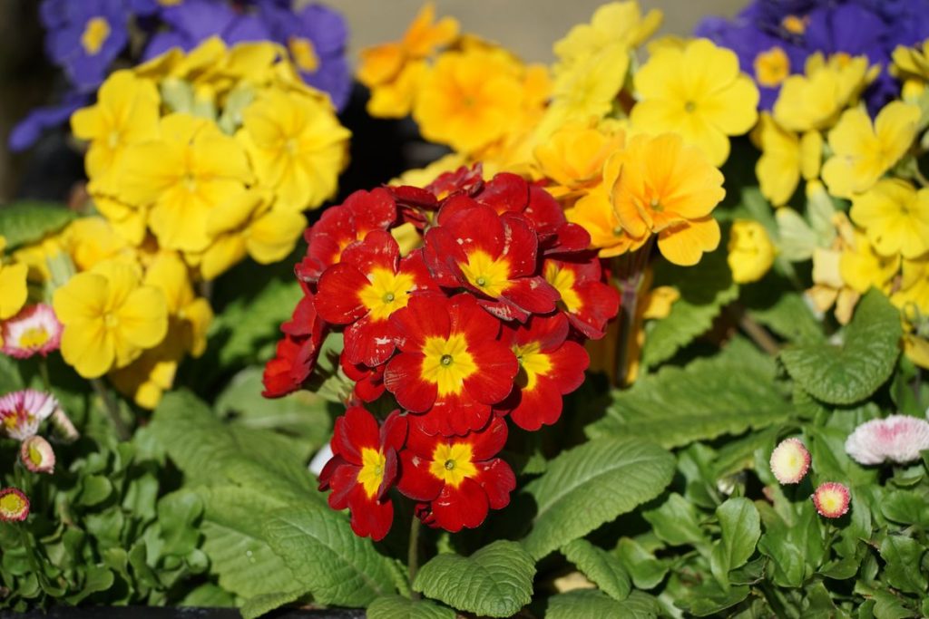 Sony FE 100-400 мм