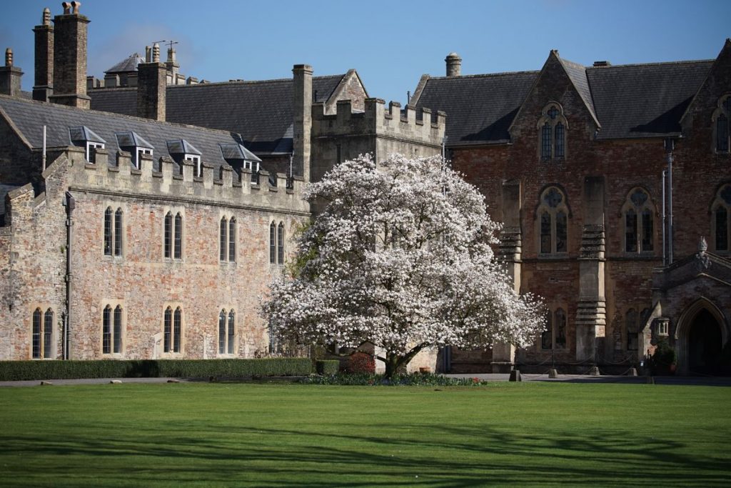 Sony FE 100-400 мм