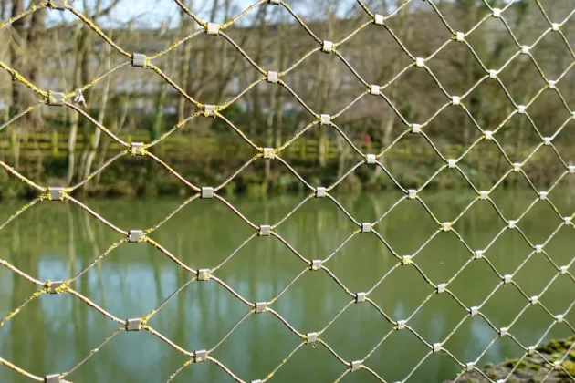 Обзор Sony ZV-1F: видеоблогинг никогда не был проще фото