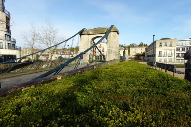 Обзор Sony ZV-1F: видеоблогинг никогда не был проще фото