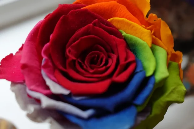 Обзор Sony ZV-1F: видеоблогинг никогда не был проще фото