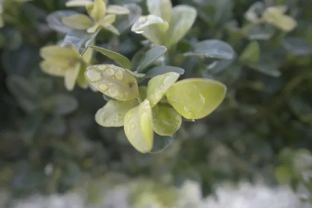 Обзор Sony ZV-1F: видеоблогинг никогда не был проще фото