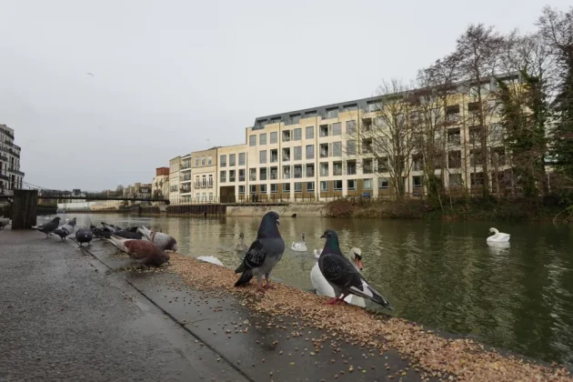 Обзор Sony ZV-1F: видеоблогинг никогда не был проще фото