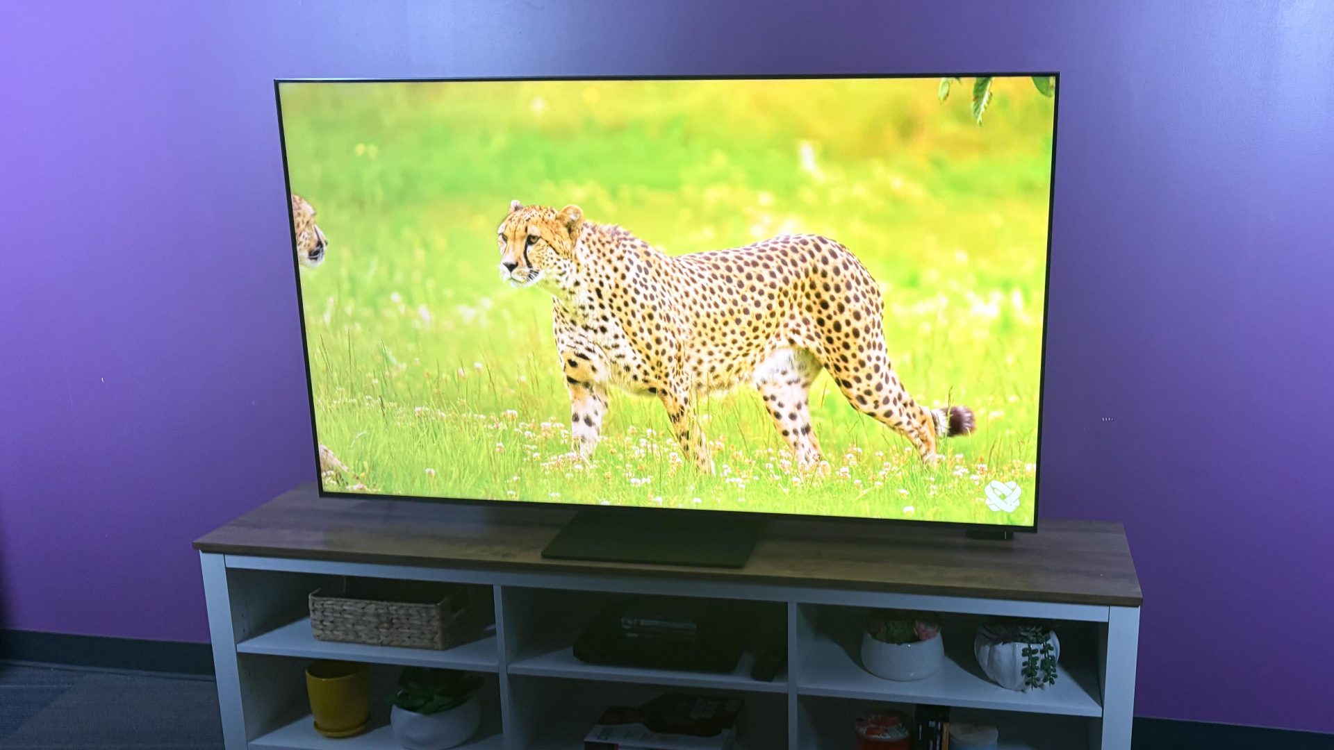 Этот TCL Mini-LED TV лучше флагманских OLED — и вот почему!