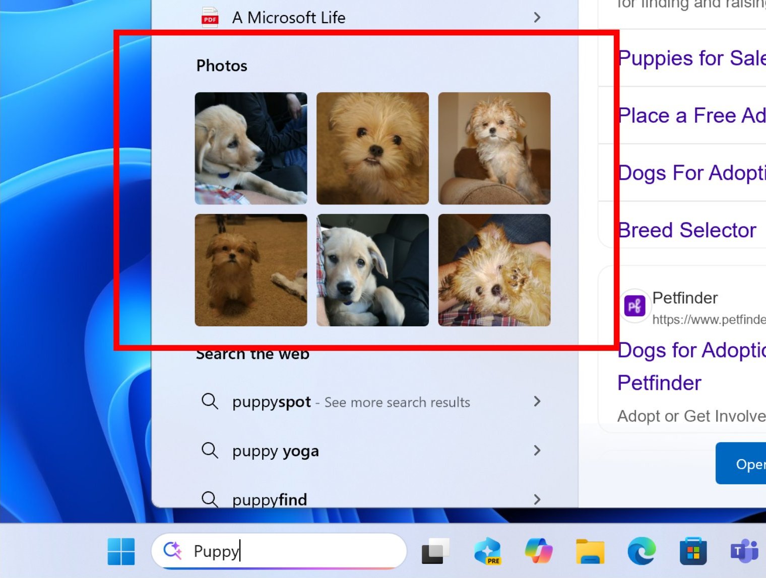Windows 11 обновился: 9 новых функций!