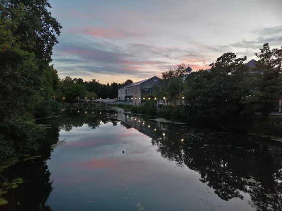 Обзор Vivo V60: создан для маньяков селфи фото