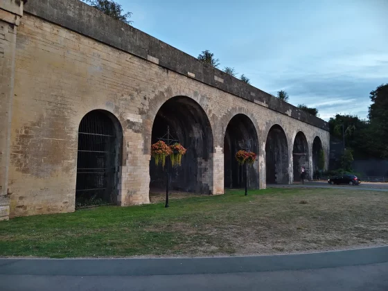 Обзор Vivo V60: создан для маньяков селфи фото