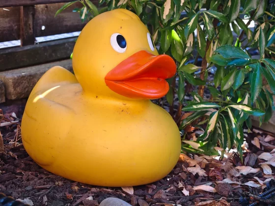 Обзор Vivo V60: создан для маньяков селфи фото